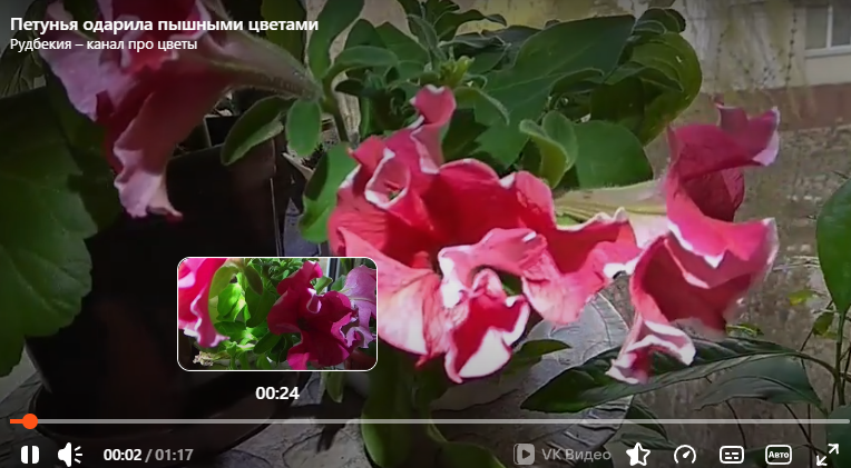 Фото с моего канала.