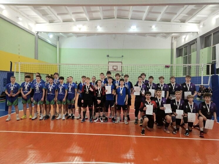     Волейбол в регионе активно развивается. фото: пресс-служба правительства Мурманской области.