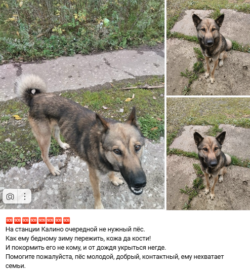 Пост в сообществе