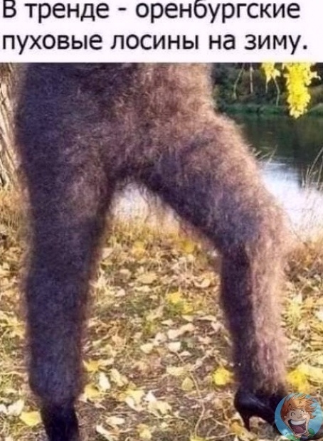 Источник: соцсети