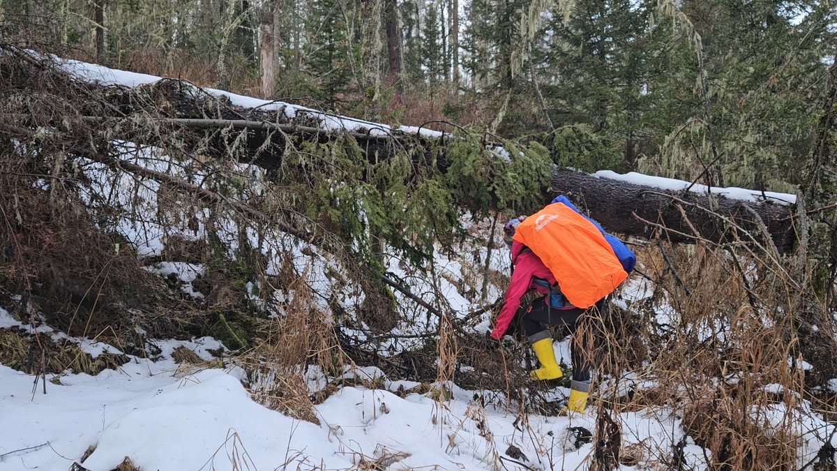 Держу путь к избе.
