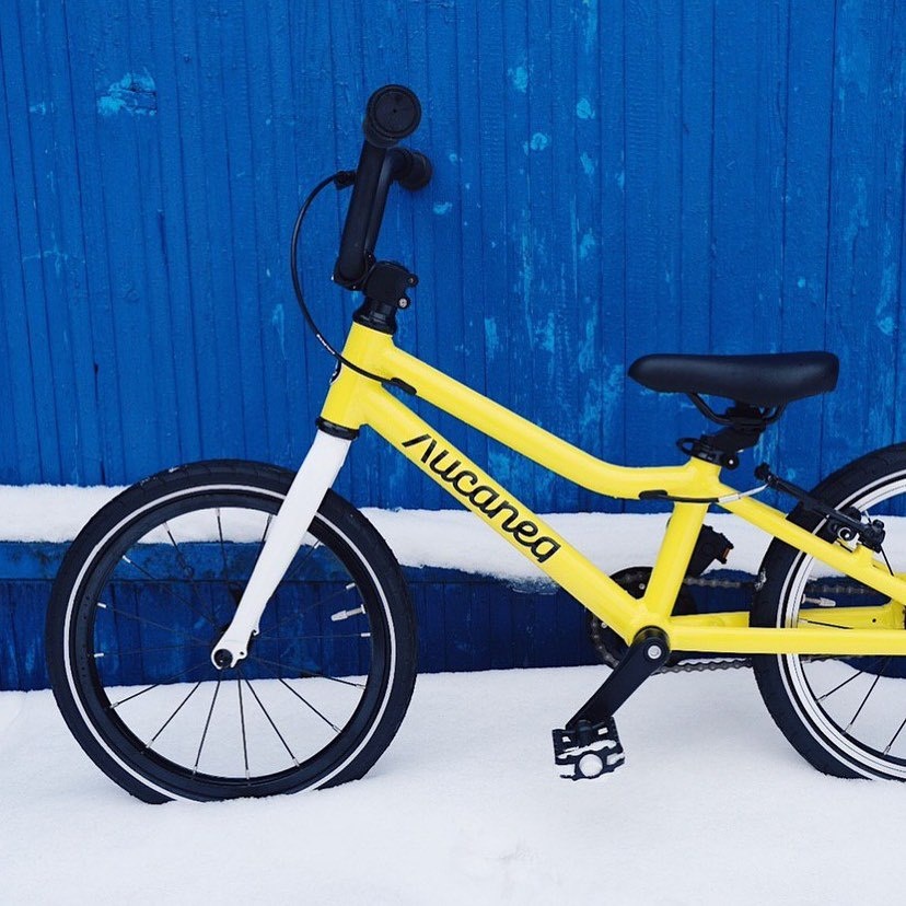 тгк @lisaped_media