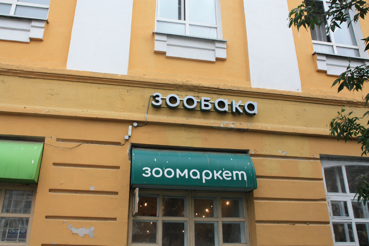 Вот такая вологодская зообака!