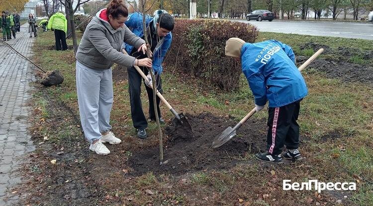 Фото: Елена Воропаева
