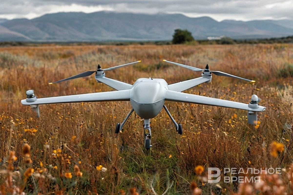   Реальное время / realnoevremya.ru