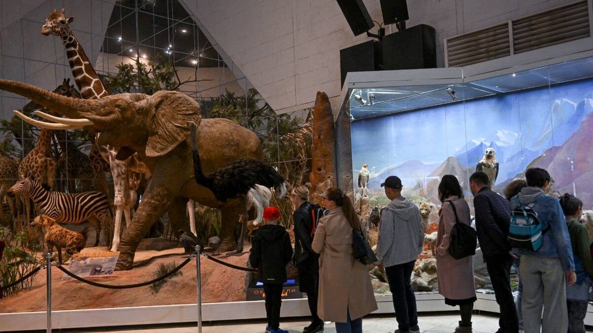    Посетители осматривают Дарвиновский музей в день проведения акции «Ночь музеев» в столице / Фото: Владимир Вяткин / РИА Новости