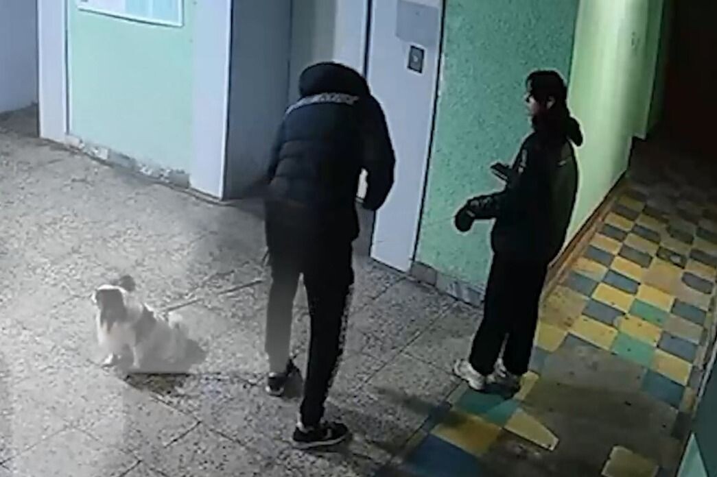     / Источник: Кадр из видео