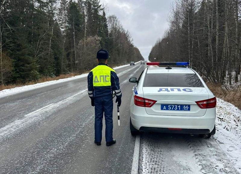     Фото: ГИБДД Свердловской области