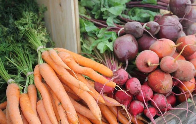 Сохраняем овощи до весны: секреты хранения моркови, свёклы и репы без потерь
