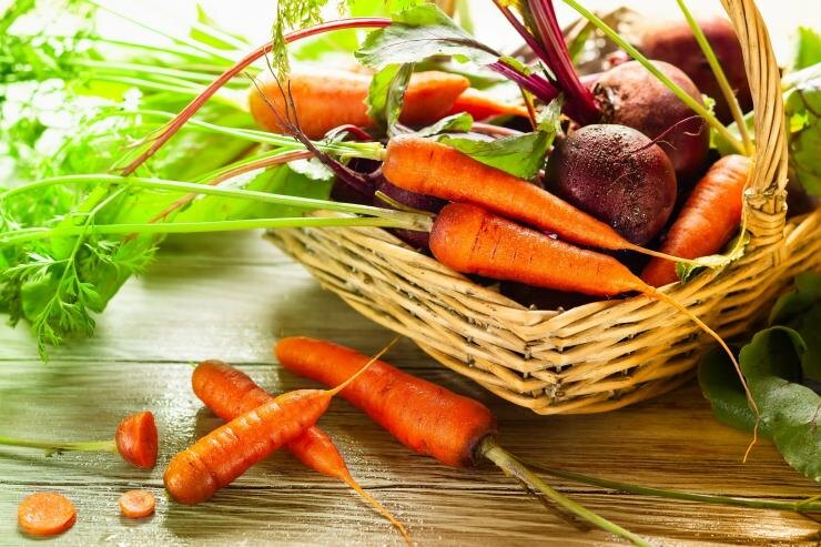 Сохраняем овощи до весны: секреты хранения моркови, свёклы и репы без потерь