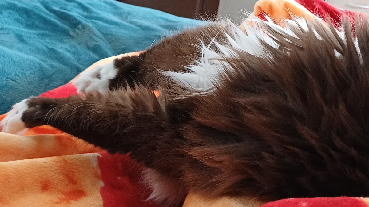 Как так можно спать?? 