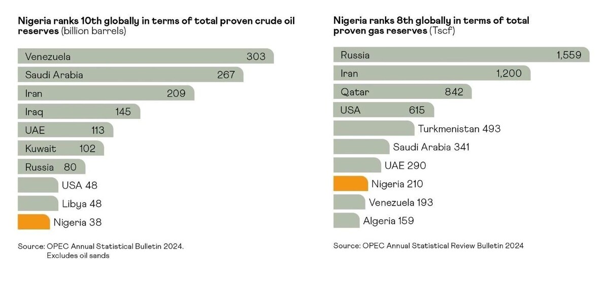 Запасы нефти и газа в Нигерии. Фото: скриншот. Savannah-energy.com
