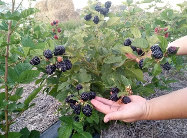 Фото найдено в интернете