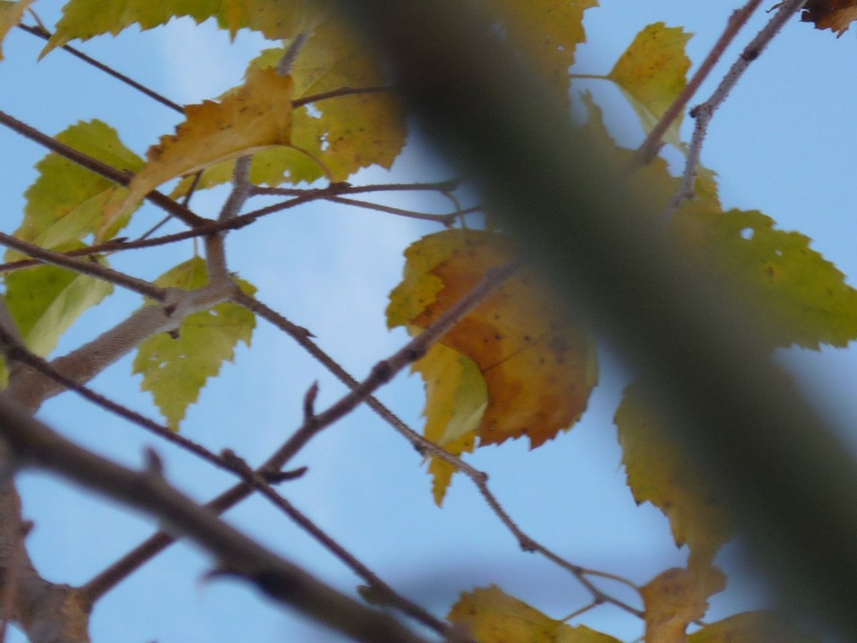 Личное фото