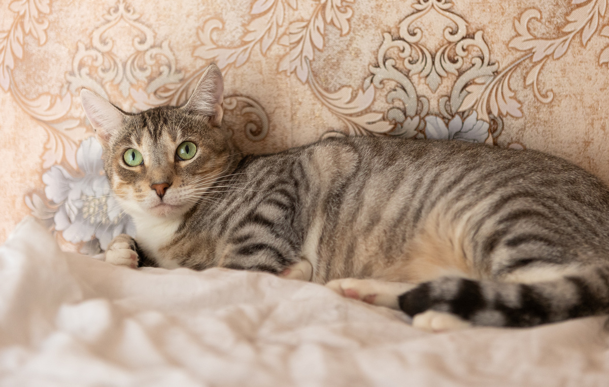 Лучше гор может быть только свой дом и свой человек