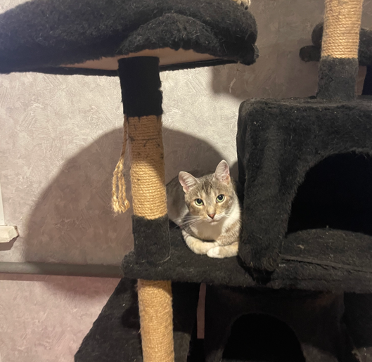 Ну каков красавец!