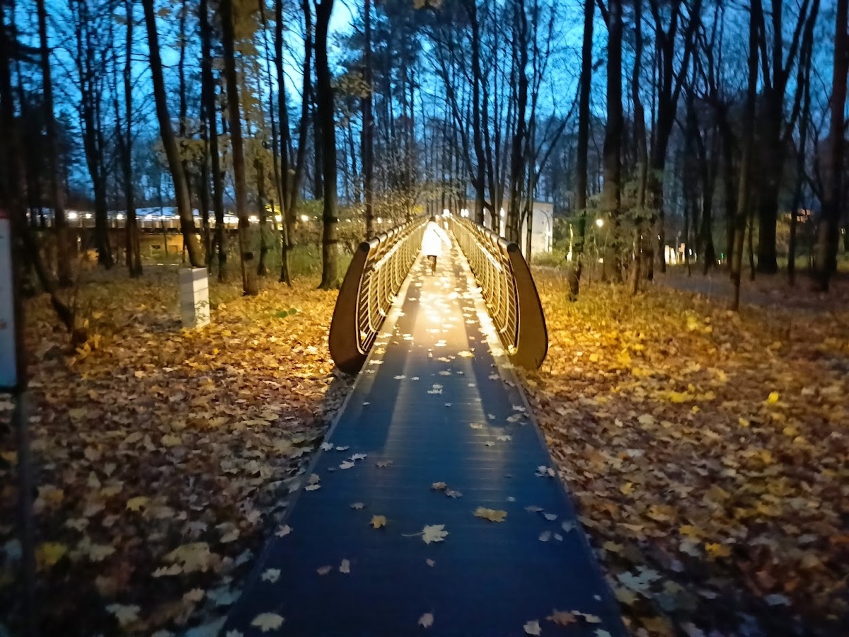 Да, ранний вечер. И как красиво!