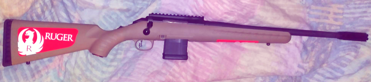 Под .223 Remington. (Автор фото Shistorybuff - Own work, CC BY-SA 4.0)