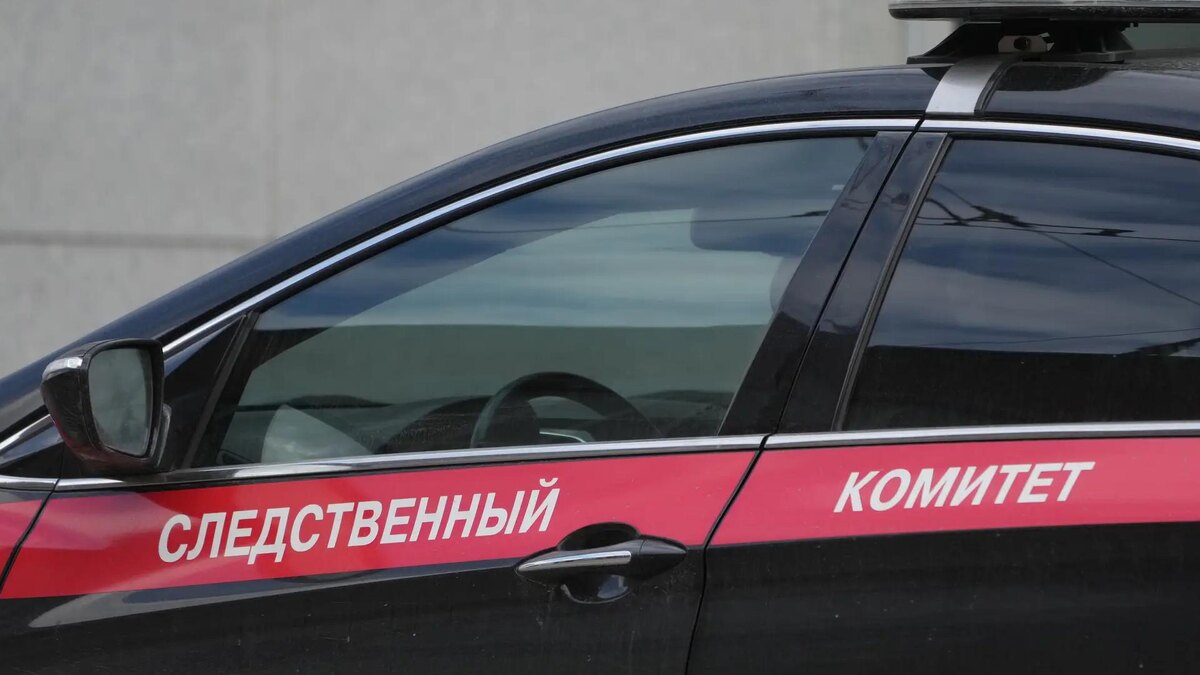    Фото: ИЗВЕСТИЯ/Дмитрий Коротаев