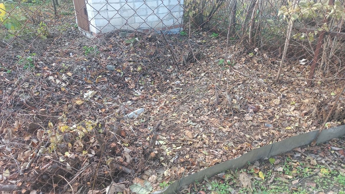 Это и другие фото в статье сделаны автором и принадлежат ему на условиях авторского права ©