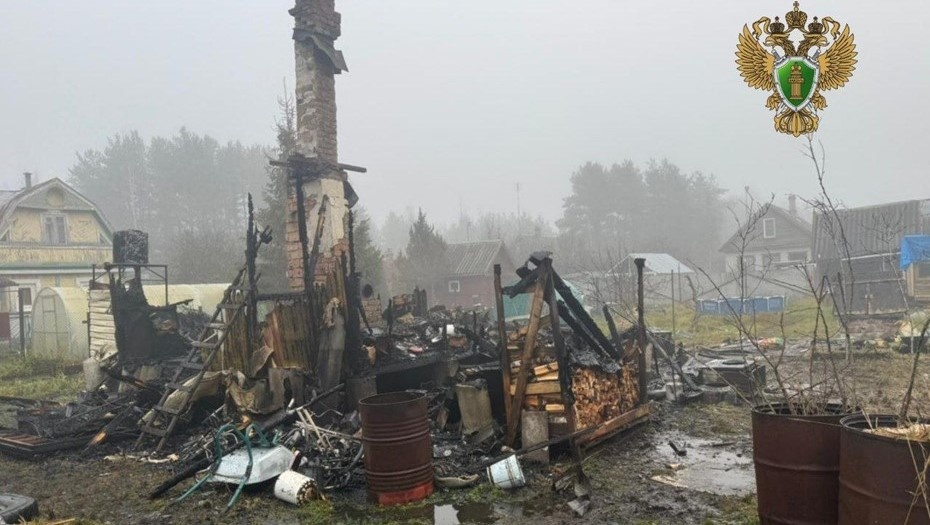    Автор фото: Прокуратура Ленобласти