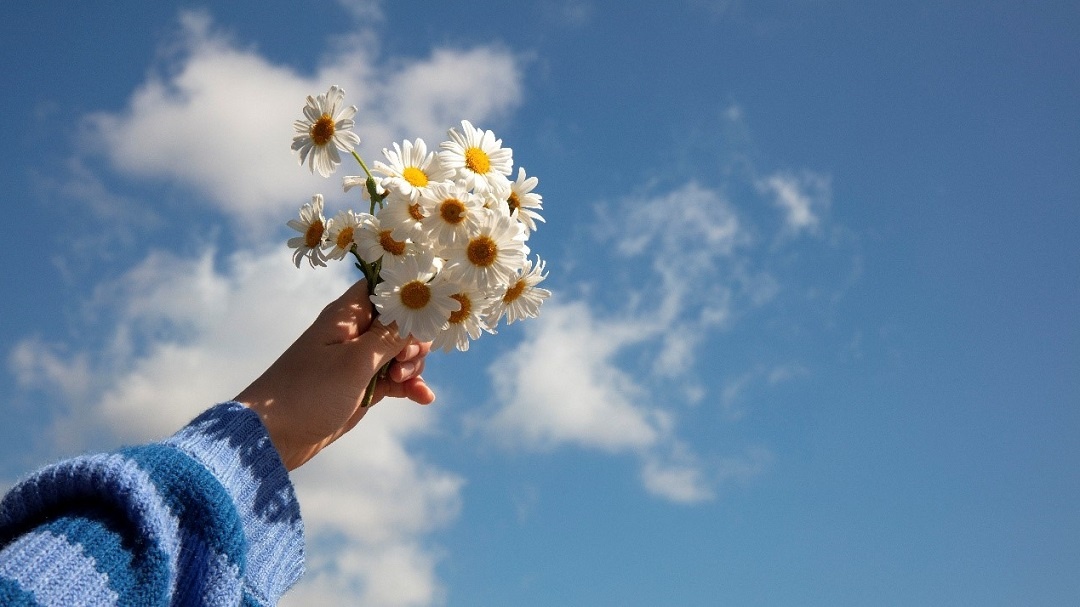 Источник: https://ru.freepik.com/