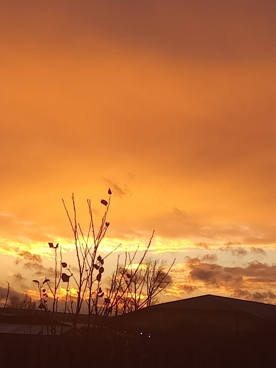 Мир нам дарит красоту... 