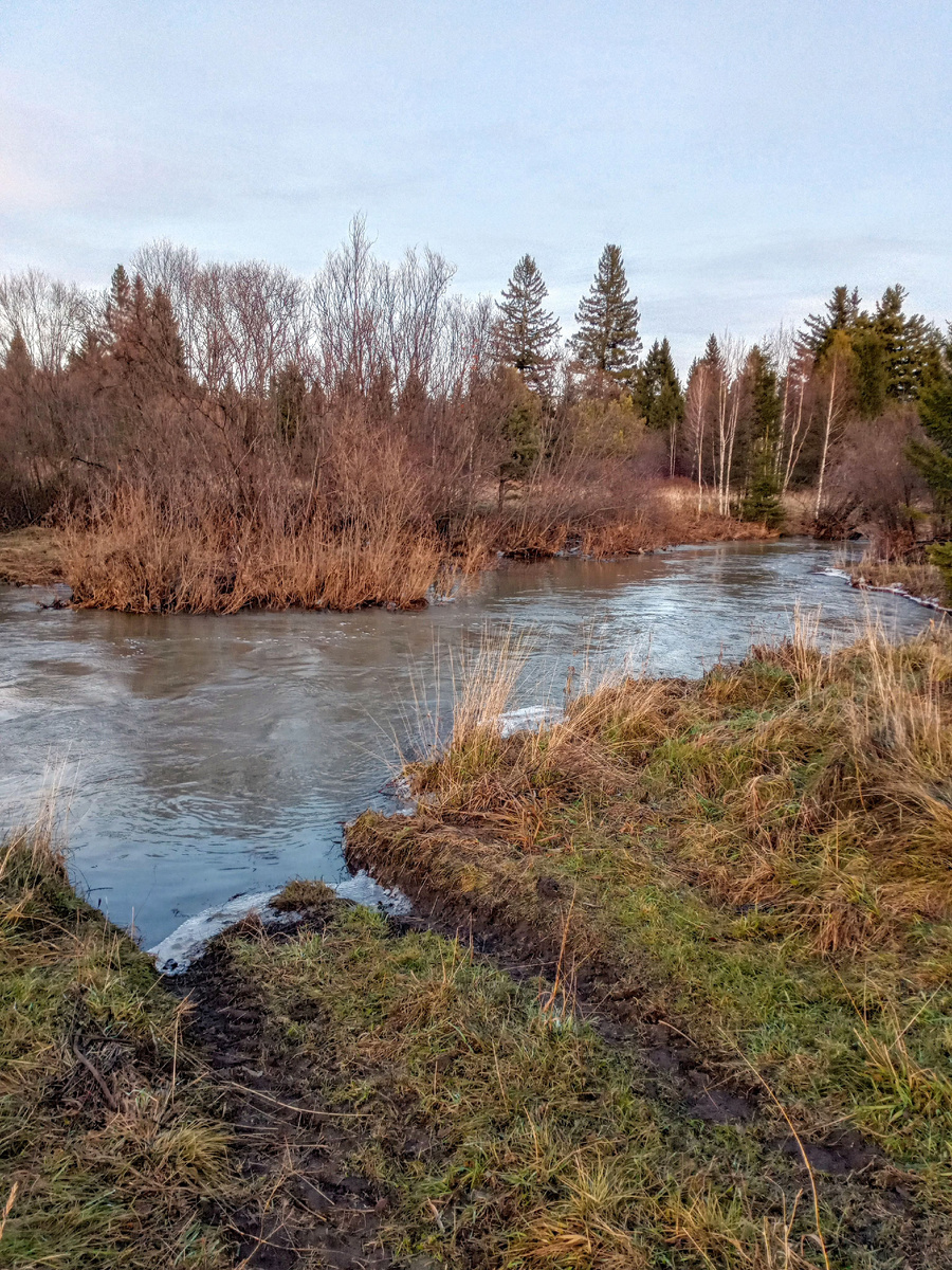 Релаксация на берегу реки. 