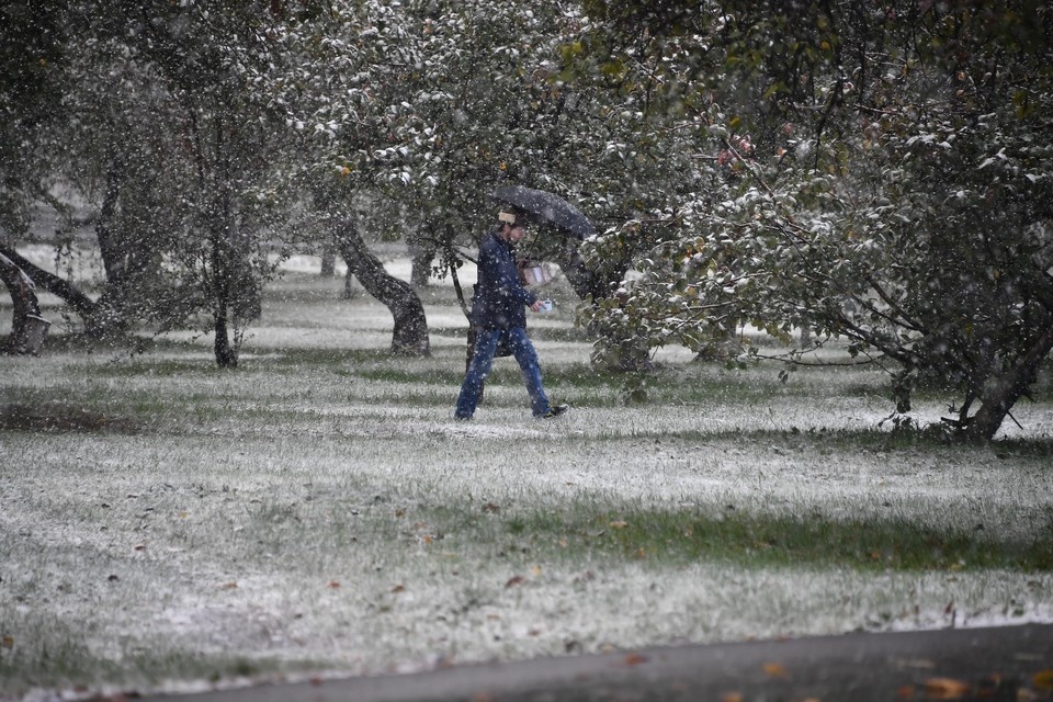    Синоптик Тишковец: Метеозима наступит в Москве в середине ноября Иван МАКЕЕВ