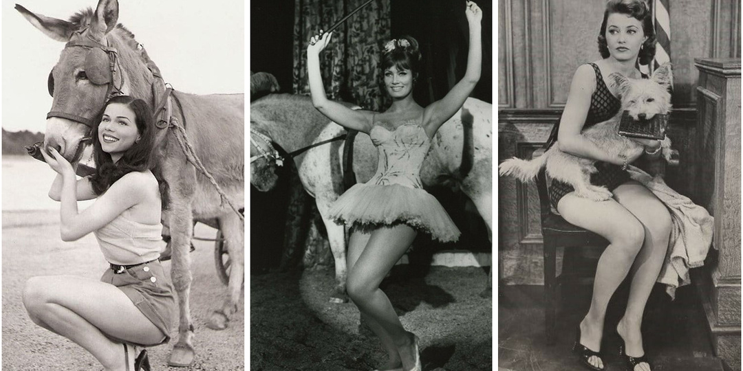 Какие тайны шептали в уши оленям забытые красотки