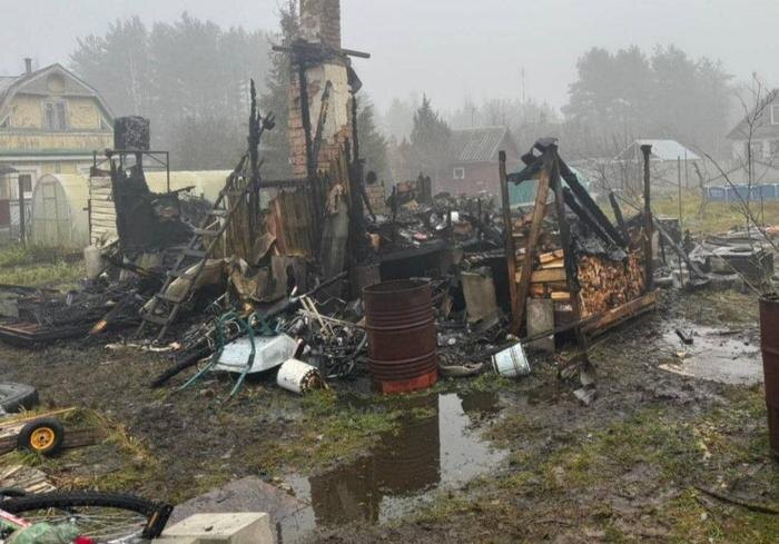 Обложка © Telegram/ Прокуратура Ленинградской области