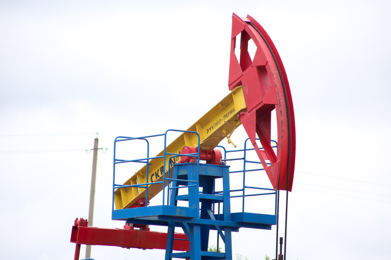    Фото: Elena Mayorova/Globallookpress