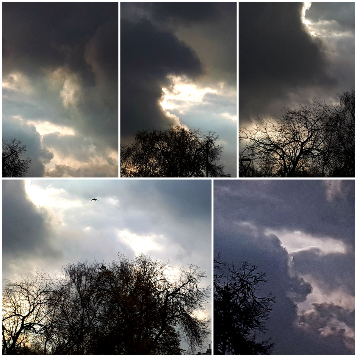 Коллаж автора 02.11.2025г.