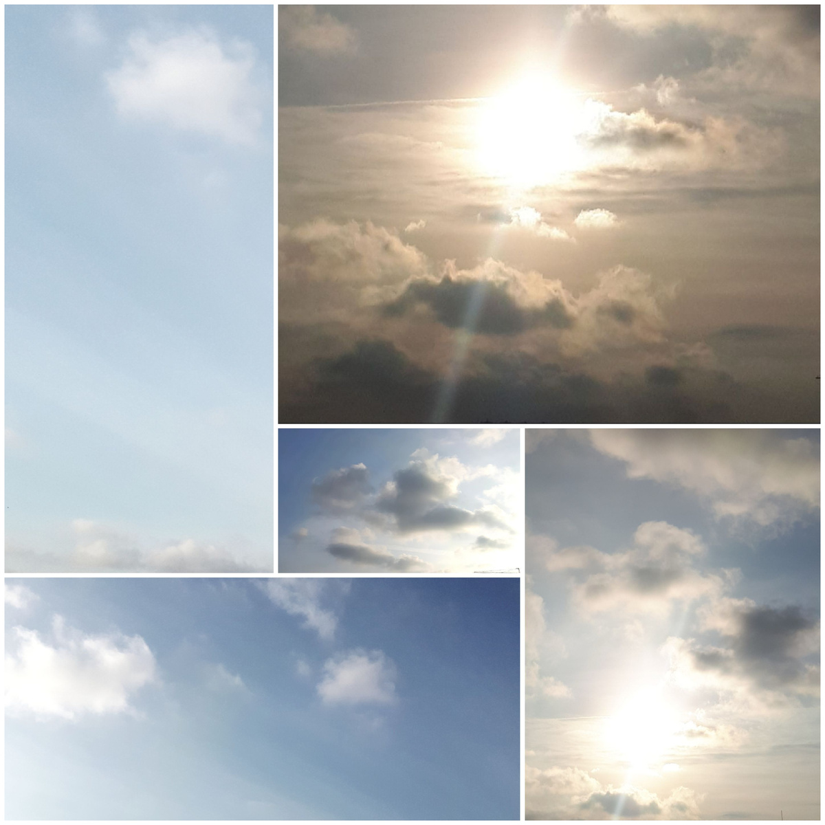 Коллаж автора 02.11.2025г.