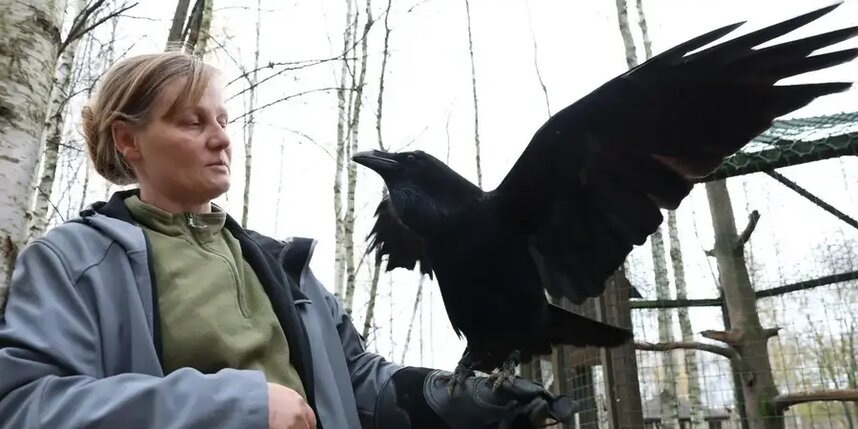    Перед камерами Карлуша как в своей стихии.Елена Купцова / Газета Metro