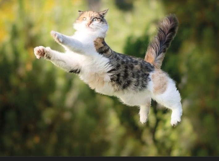 Прыжок веры