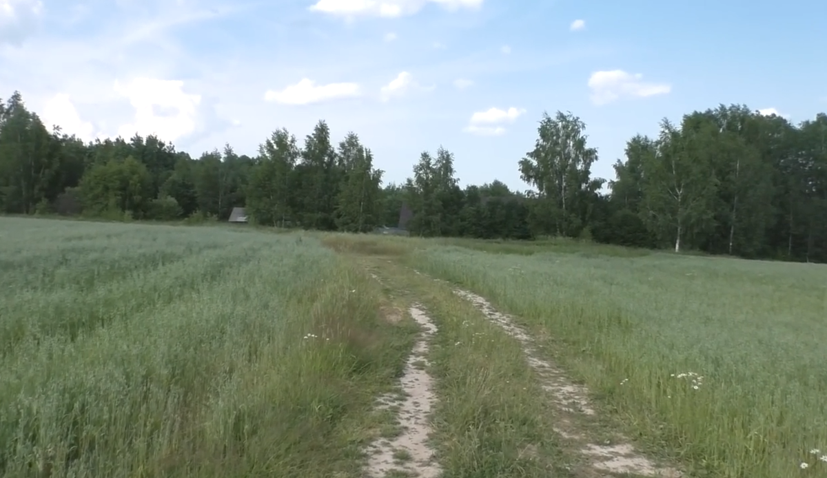 У дороги, ведущей в СНТ в поле такой же статус как в городе. Так говорит Закон.