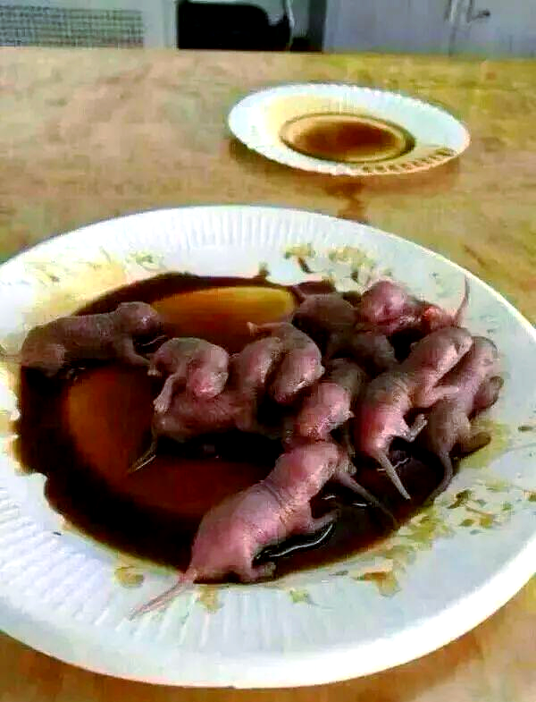 Фото: https://baijiahao.baidu.com