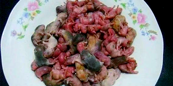 Фото: https://baijiahao.baidu.com