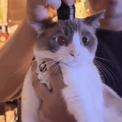 С просторов интернета. Автор неизвестен.