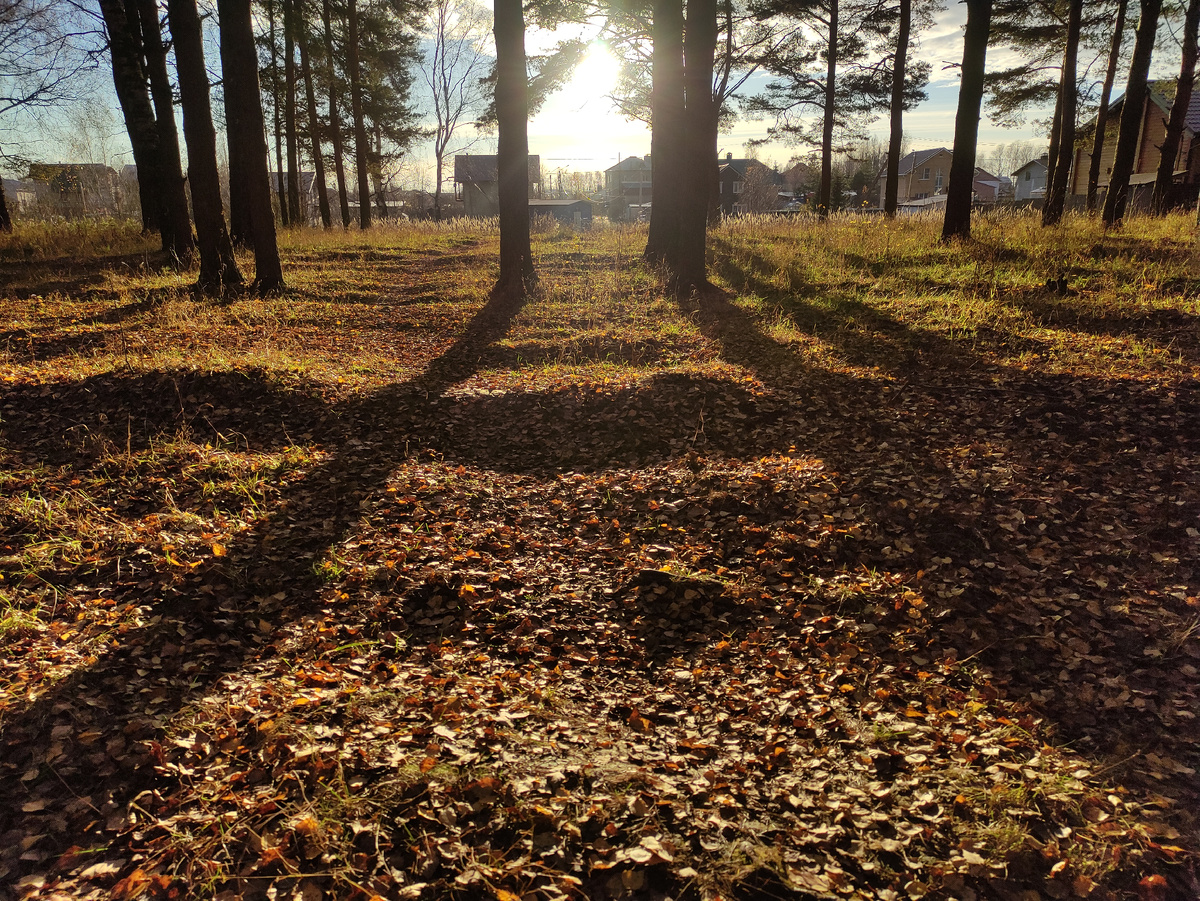 Вид на нашу улицу из леса