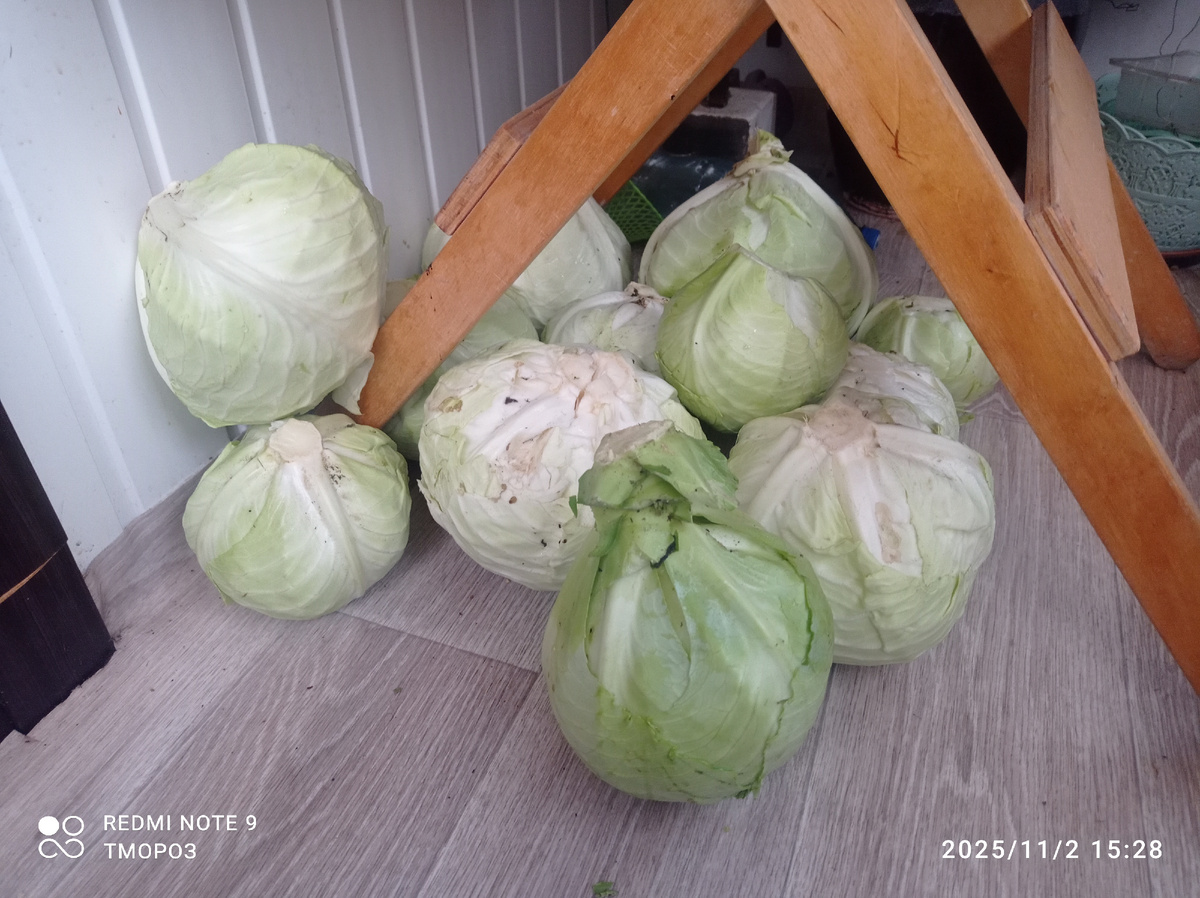 это окончание работ