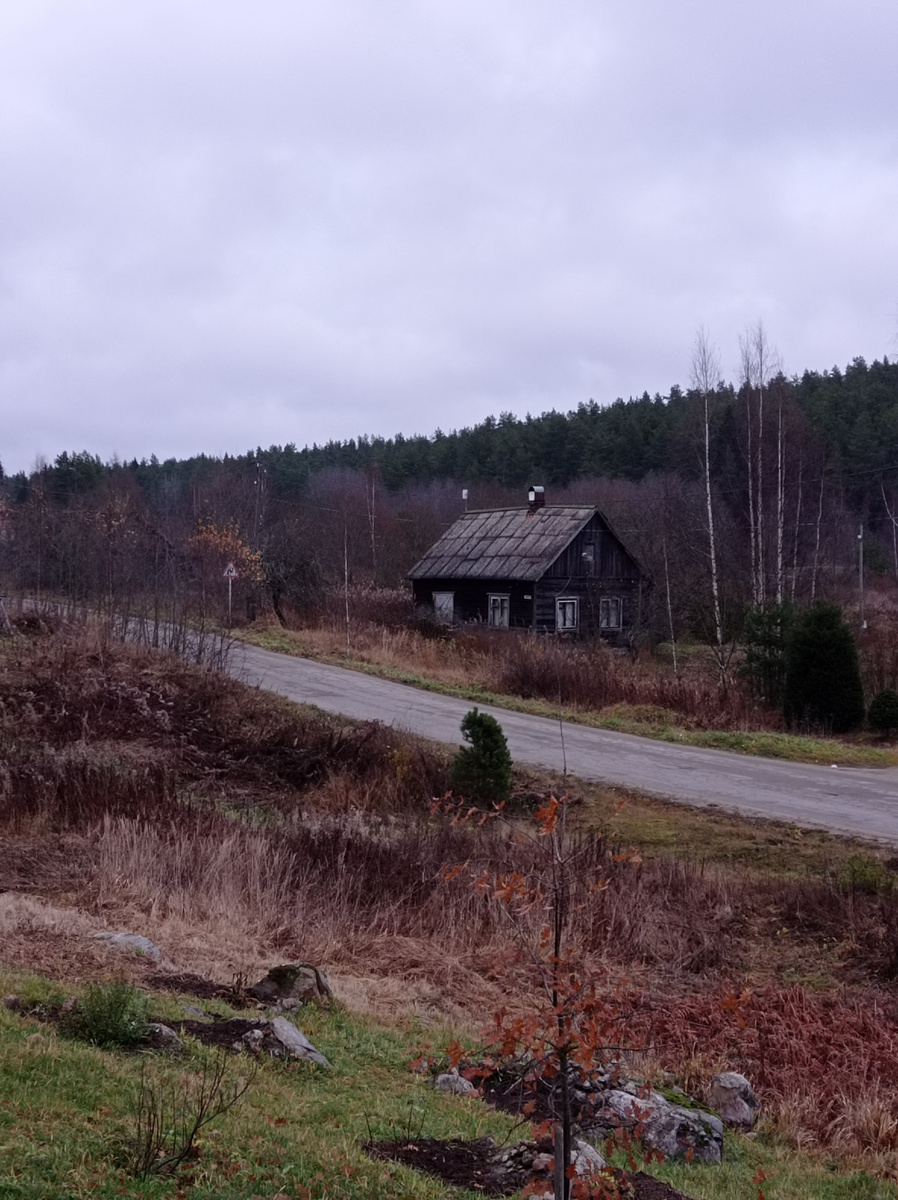 Вид из окна... 