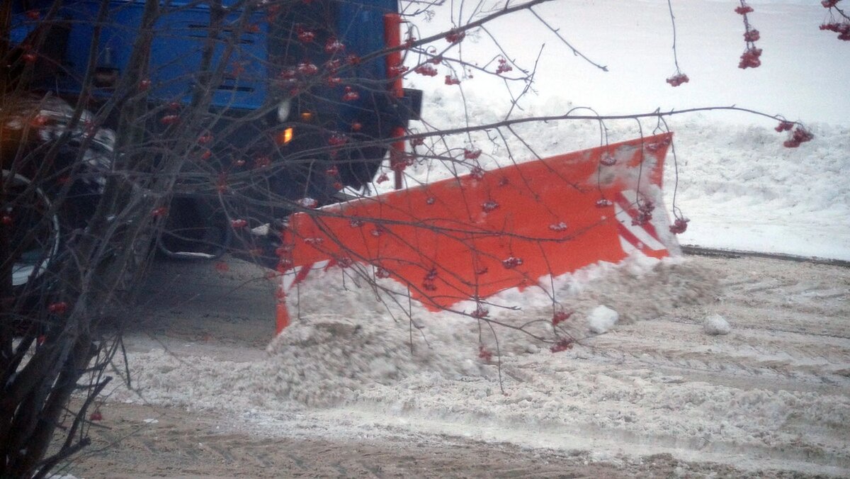    Фото: Сергей Егоров