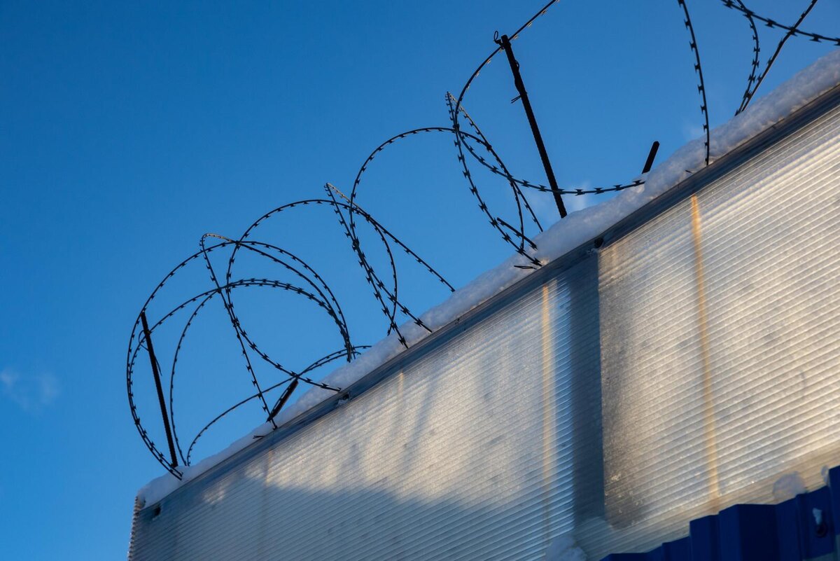 Фото: Дмитрий Фуфаев / «Петербургский дневник»