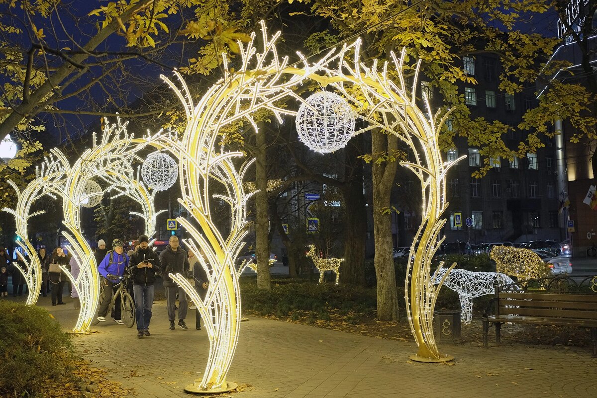 Планируете встретить новый год в Краснодаре? Собрали полную афишу: где находится главная ёлка, как работает рождественская ярмарка, куда сходить с детьми и какие рестораны предлагают банкетные программы на 31 декабря 2025.