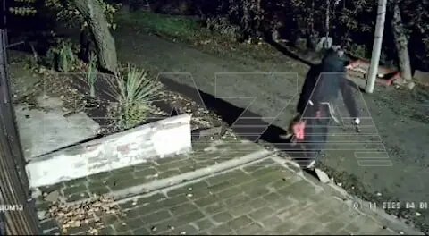    Фото: кадр видео из Telegram-канала Baza