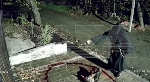    Фото: кадр видео из Telegram-канала Baza