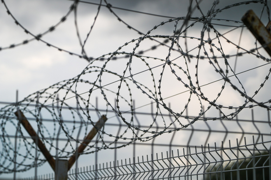    Алексей Белкин/NEWS.ru