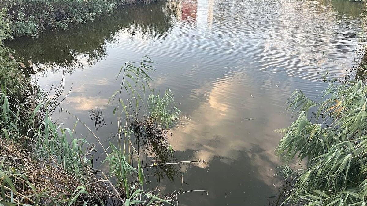    Фото: телеканал «Краснодар»